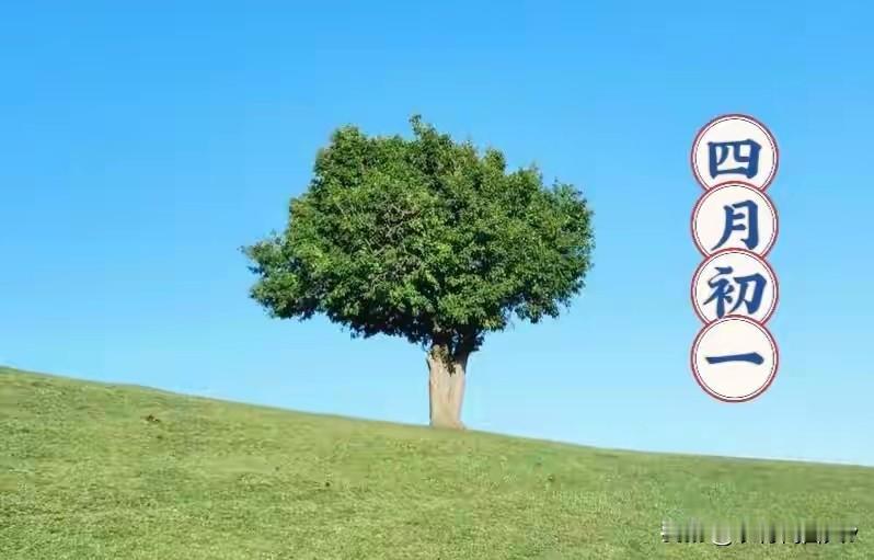 明日四月初一，提醒：1不下，2要防，3多吃，忌2事，安稳顺利度夏
 
明天是农历