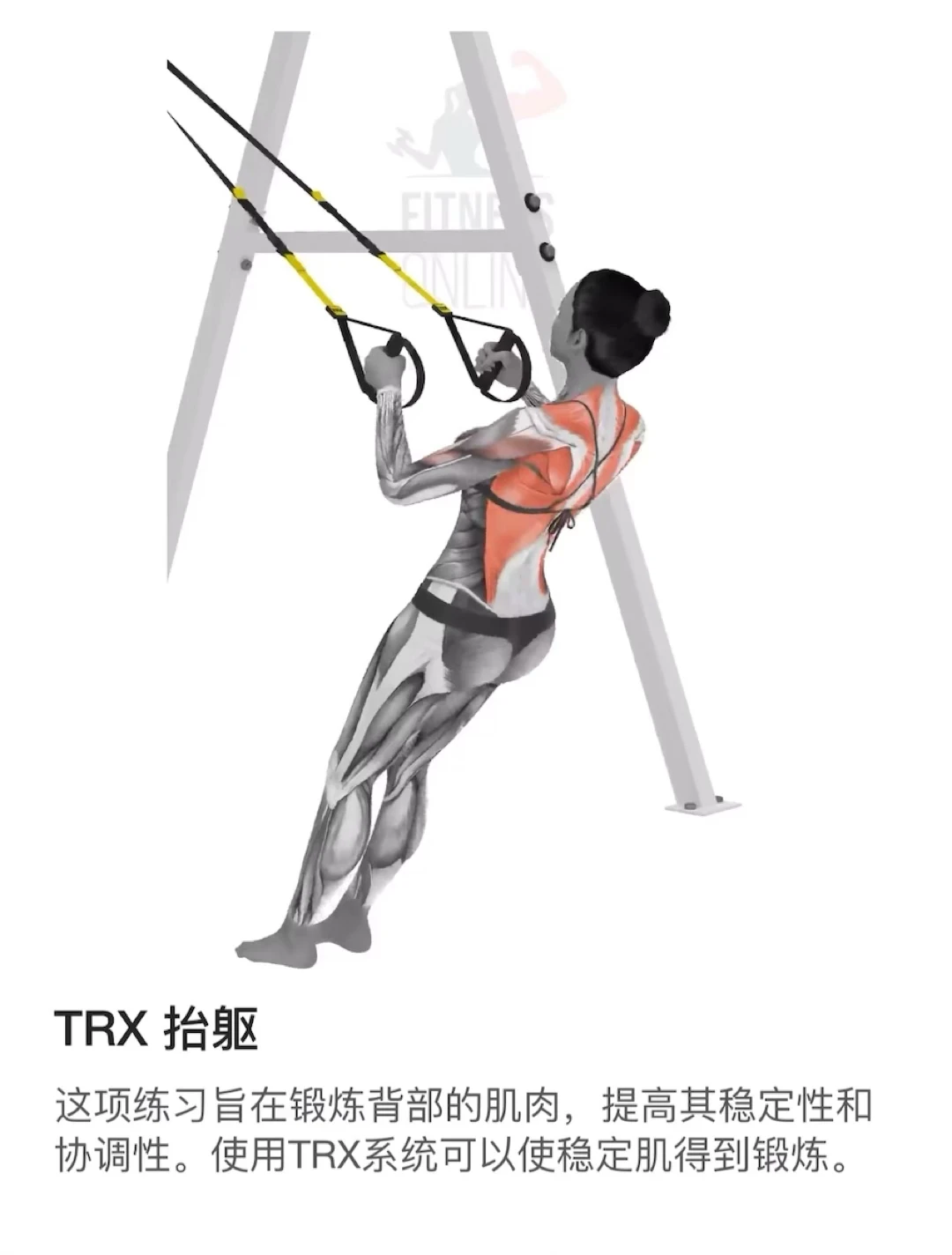 谁懂啊！练背的快乐只有自己知道😭