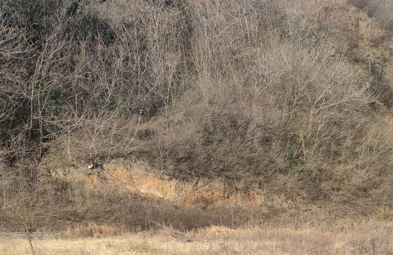 看《太平年》后的几点感慨：
一、没有那能力，当上王或者皇帝不要动辄来“硬”的，否