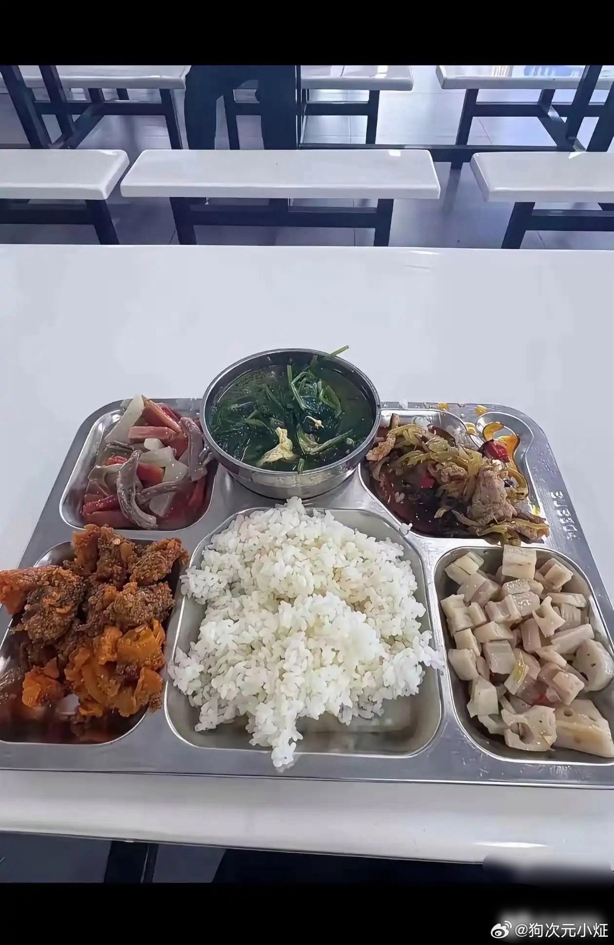 公司食堂12元 这合理吗 ​​​