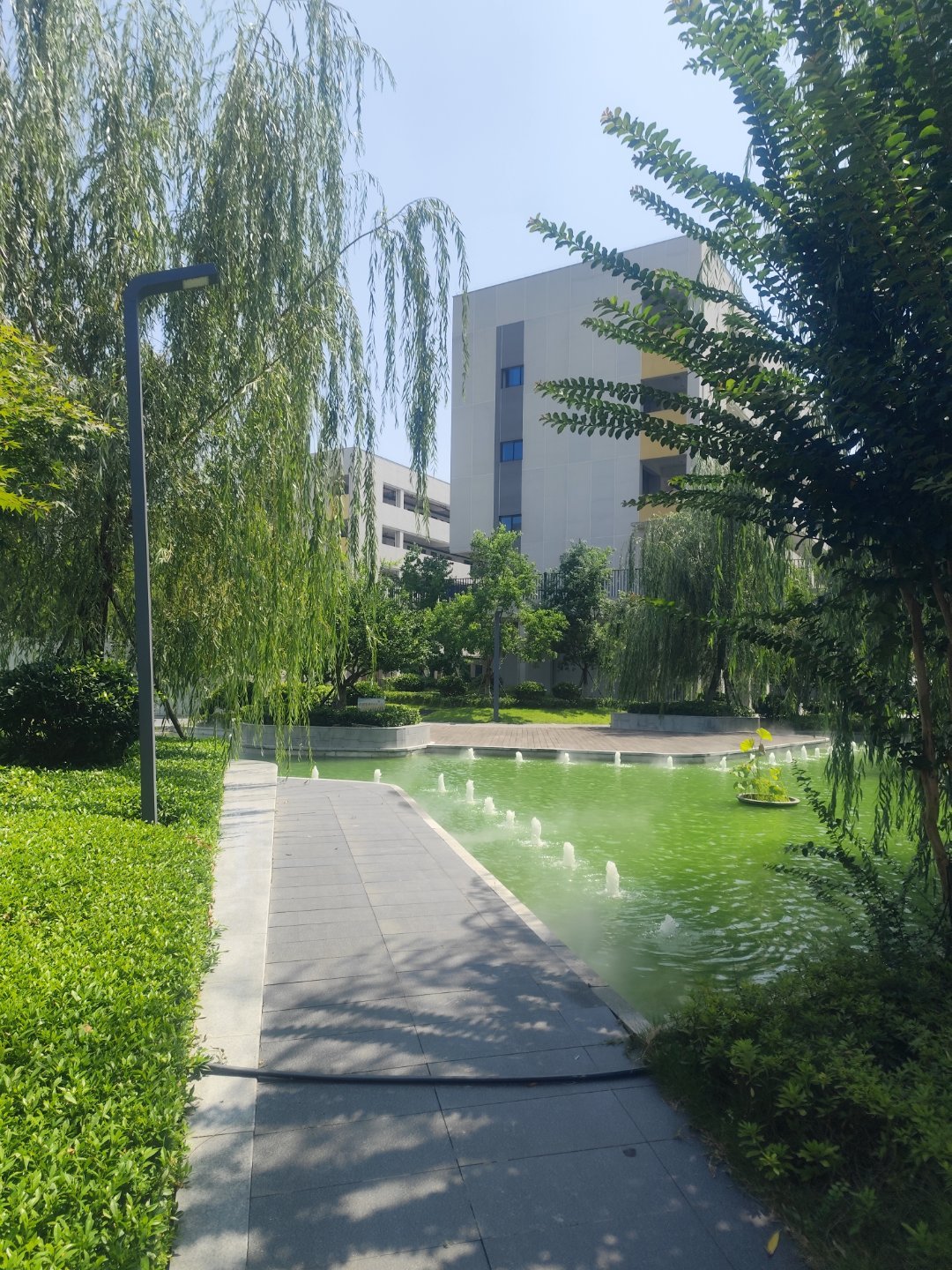 明天去军训了