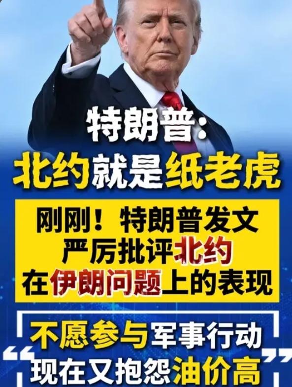 彻底撕破脸！特朗普怒批北约：没美国就是纸老虎！盟友懦弱，美国会记住！
 
202