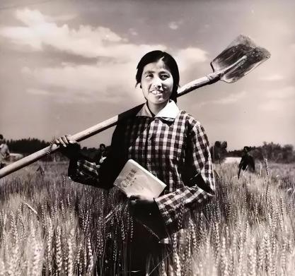 1969年，北京一名女知青被公羊顶倒，她从地上爬起来，拍打身上的泥土，那只羊又退