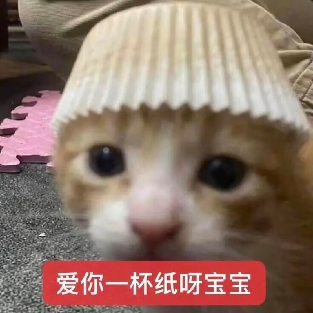 小猫表情包 