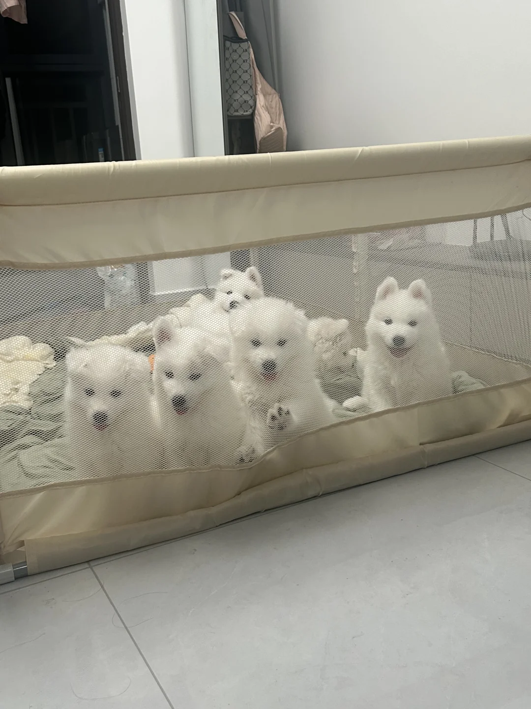这个时候最幸福了
