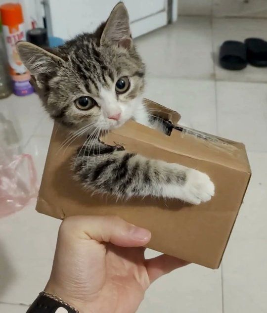在一艘小小飞船里 
