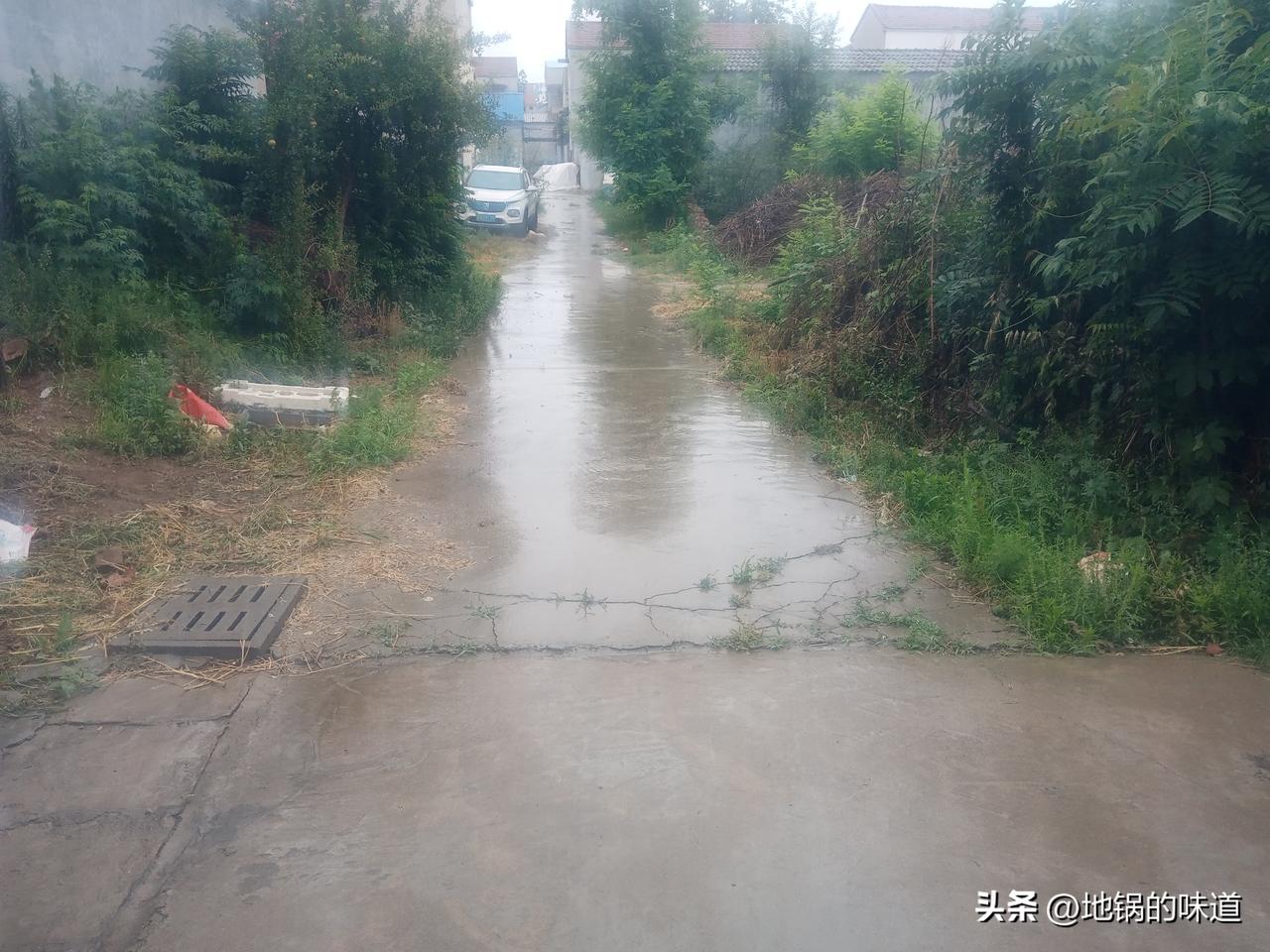 有雨无雨，五月看十二
不怕五月十二漫，就怕五月十二断
五月十二雨绵绵，六月雨水紧