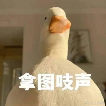 原来这就是属于00后的红利 数字原住民的优势在协作上更明显，00后靠线上就能组队