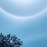 蒋林爱看科技