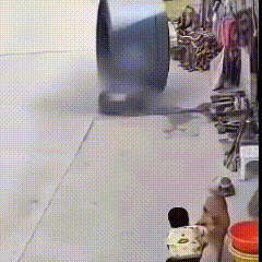 太神奇了！



狗狗的判断力真的不可思议……
眼见公路上一个巨大的轮子滚过来，