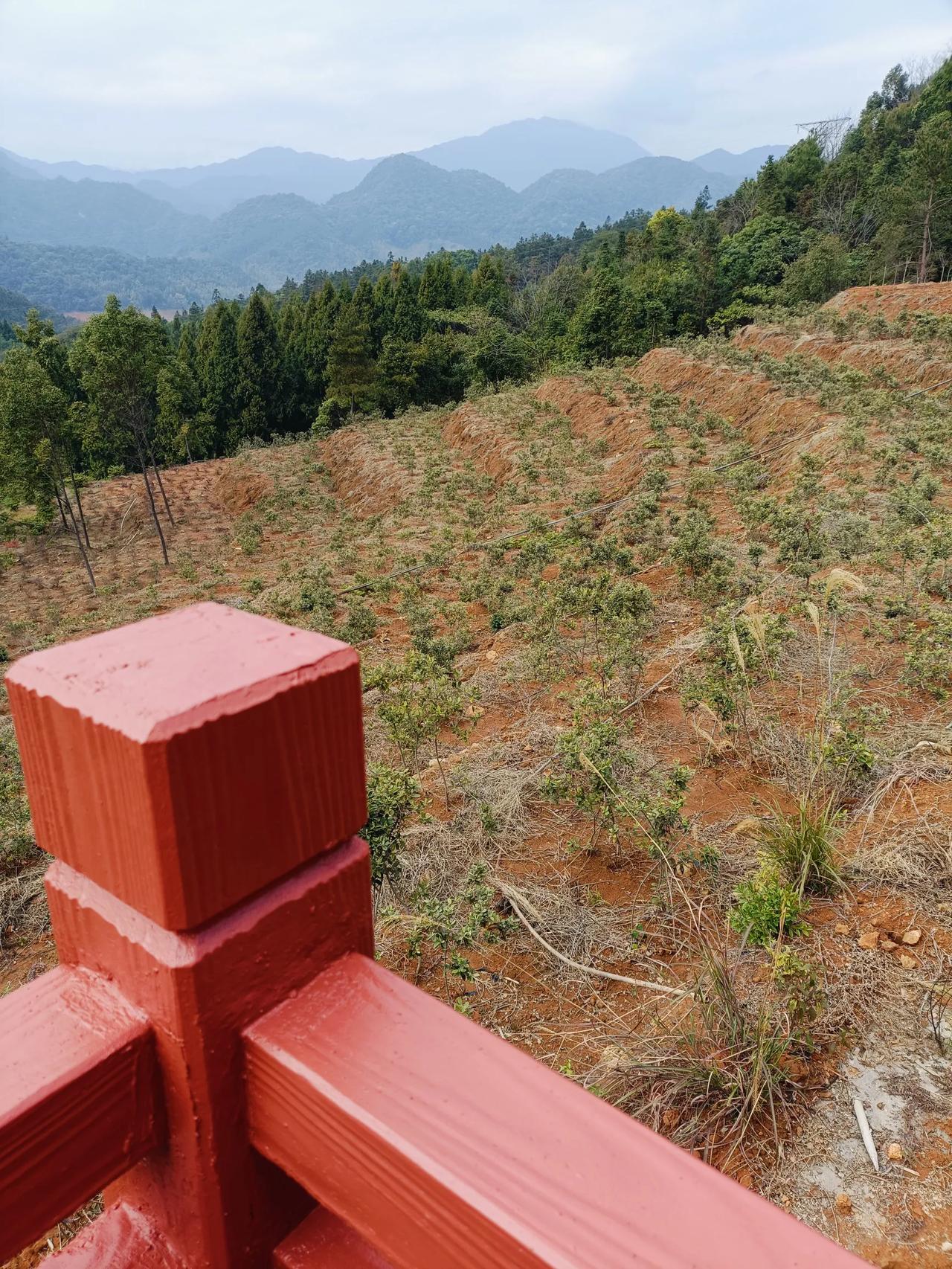 爬山观美景，
小亭休熙悦。
但看远眺望，
开心在人间。