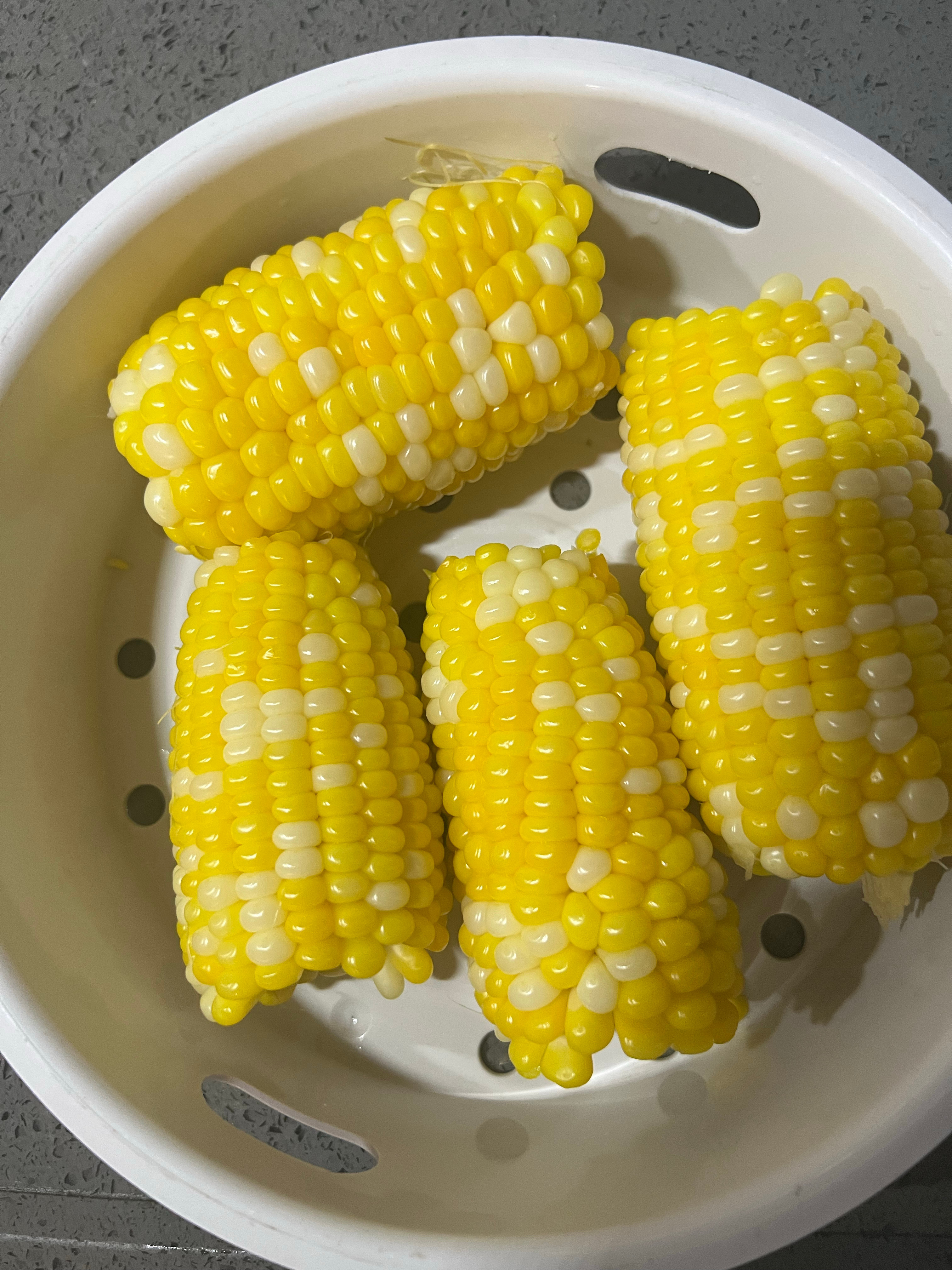 啊呜～米米奶奶种的玉米今天煮完了～我要去哪里给米米买这种玉米呢米米超级喜欢这个玉