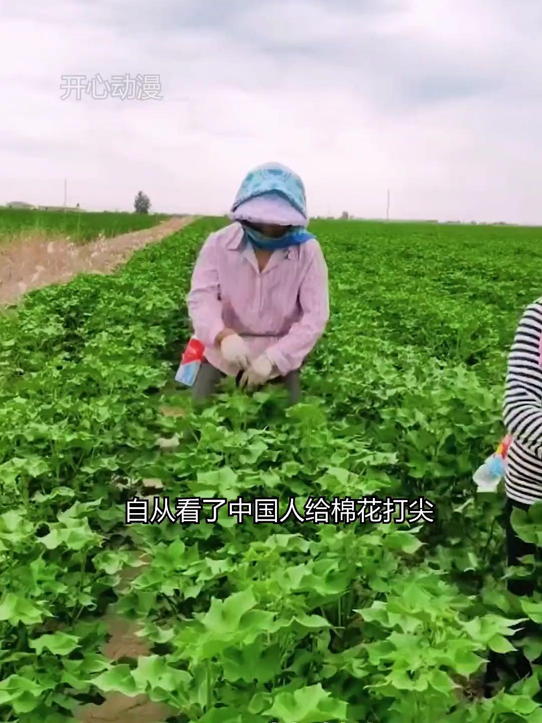 张予曦毕雯珺躺拍太权威了 深情眼 张予曦 毕雯珺 虞书欣