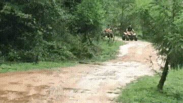 都说“有卧龙的地方必有凤雏”，看看现代版的卧龙凤雏，其实可以理解，人以群分，物以