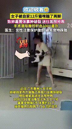 万万没想到！被家里猫咪踹两脚，女子直接进手术室抢救……
 
居家养猫看似安全无害