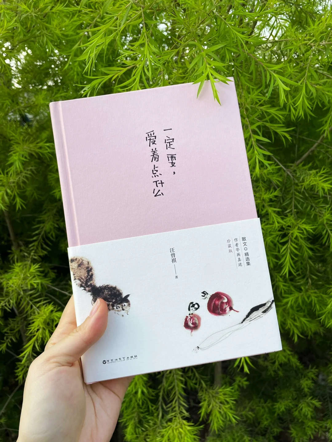 汪曾祺的淡雅隽美🌷《一定要爱着点什么》