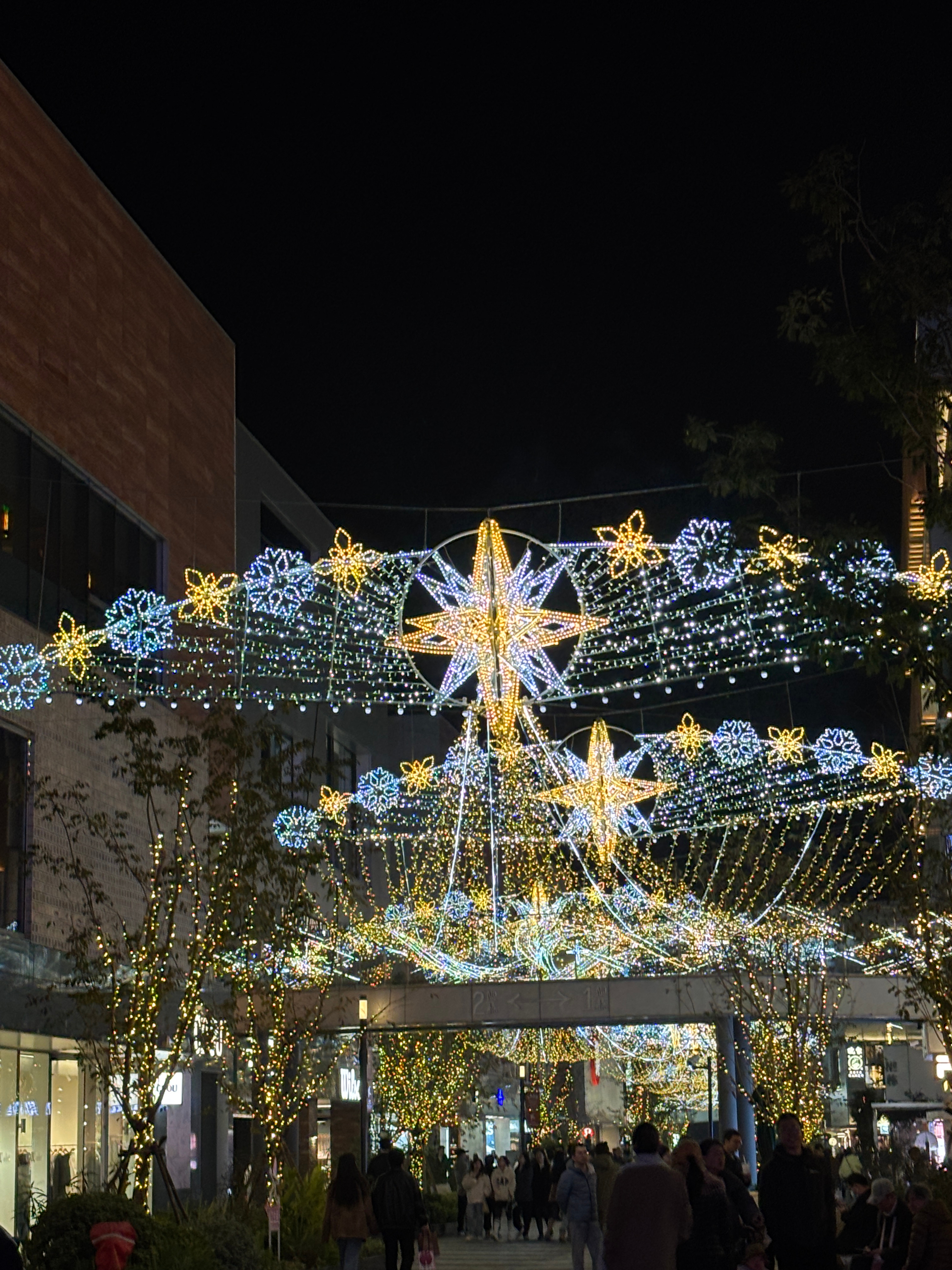 上海圣诞氛围已经超级浓了🎄我的日常plog