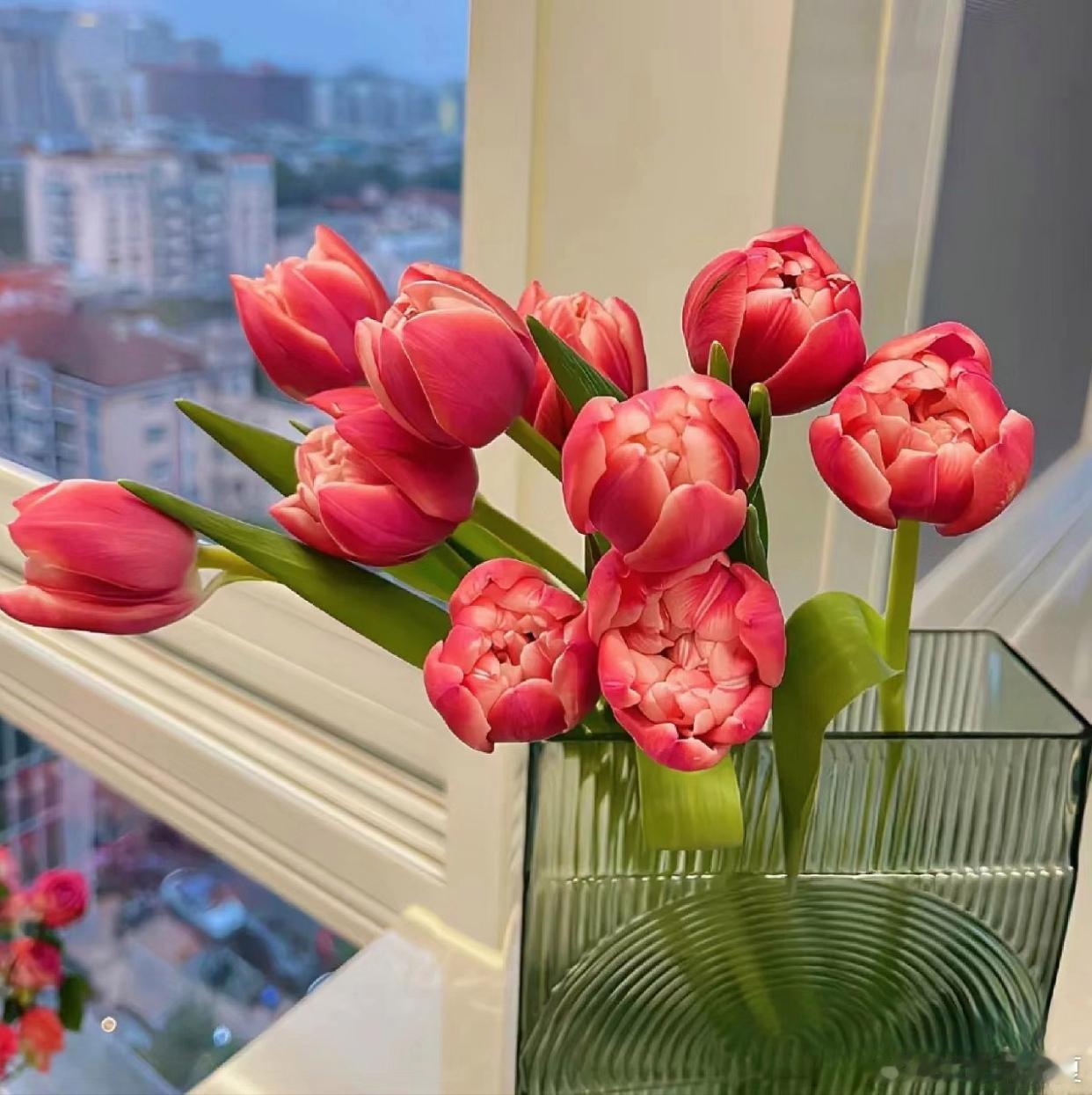 春风十里，花香满衣，不负花开，不负时光～ ​​​