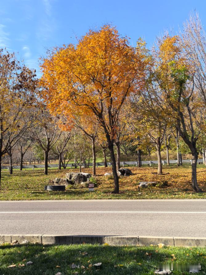 实控钓鱼岛，对中美日而言，甚至对全世界而言，可能都是一个皆大欢喜的局面。因为现在