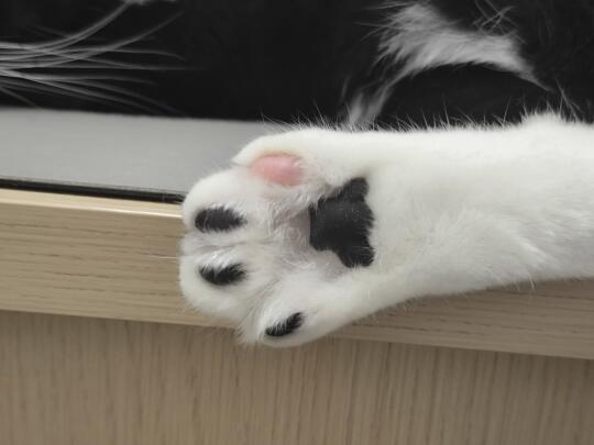 闻过了，爆米花味的！