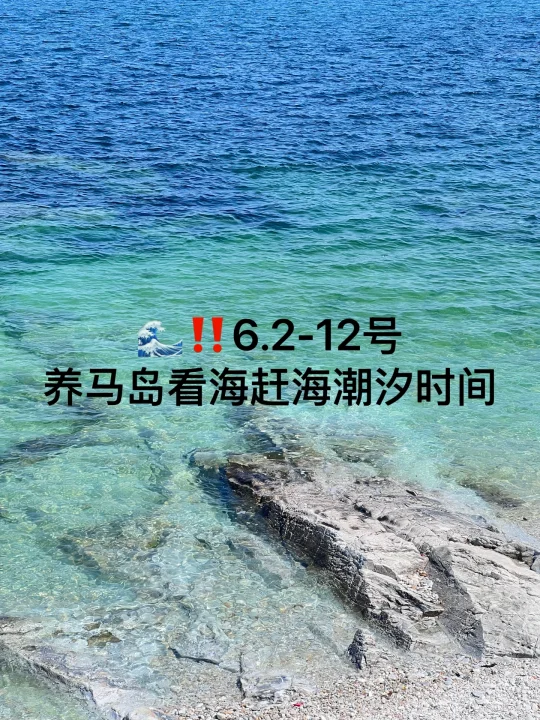📍养马岛果冻海潮汐🌊6.2-6.12号时间推荐