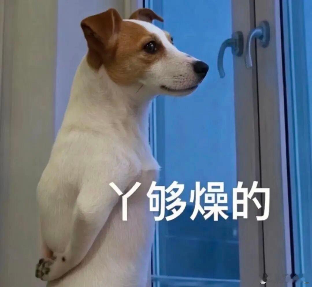两局都看了，先是昨晚世界第一爆冷出局早上世界第二接着再爆冷，双双把家还了这下可以
