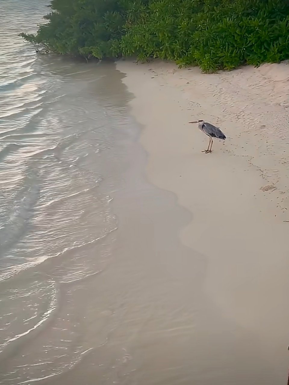 🐤：每一次难过的时候，就独自看一看大海🎶 
