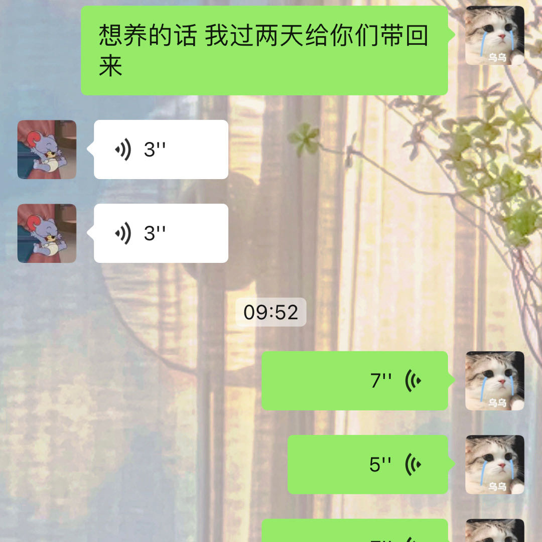 最好笑的事情来了，我给奶奶发消息，问爷爷想不想养这只小狗。奶奶说在乡下不好养，爷