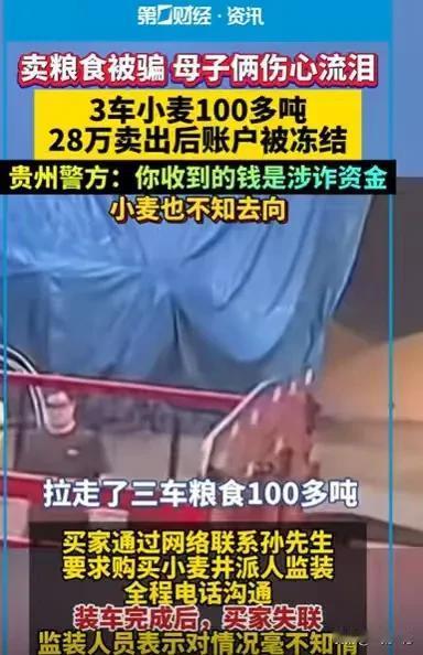 河南新乡，男子认识一个收粮食的买家，他看到哥哥家的小麦很多，就介绍给哥哥，哥哥就