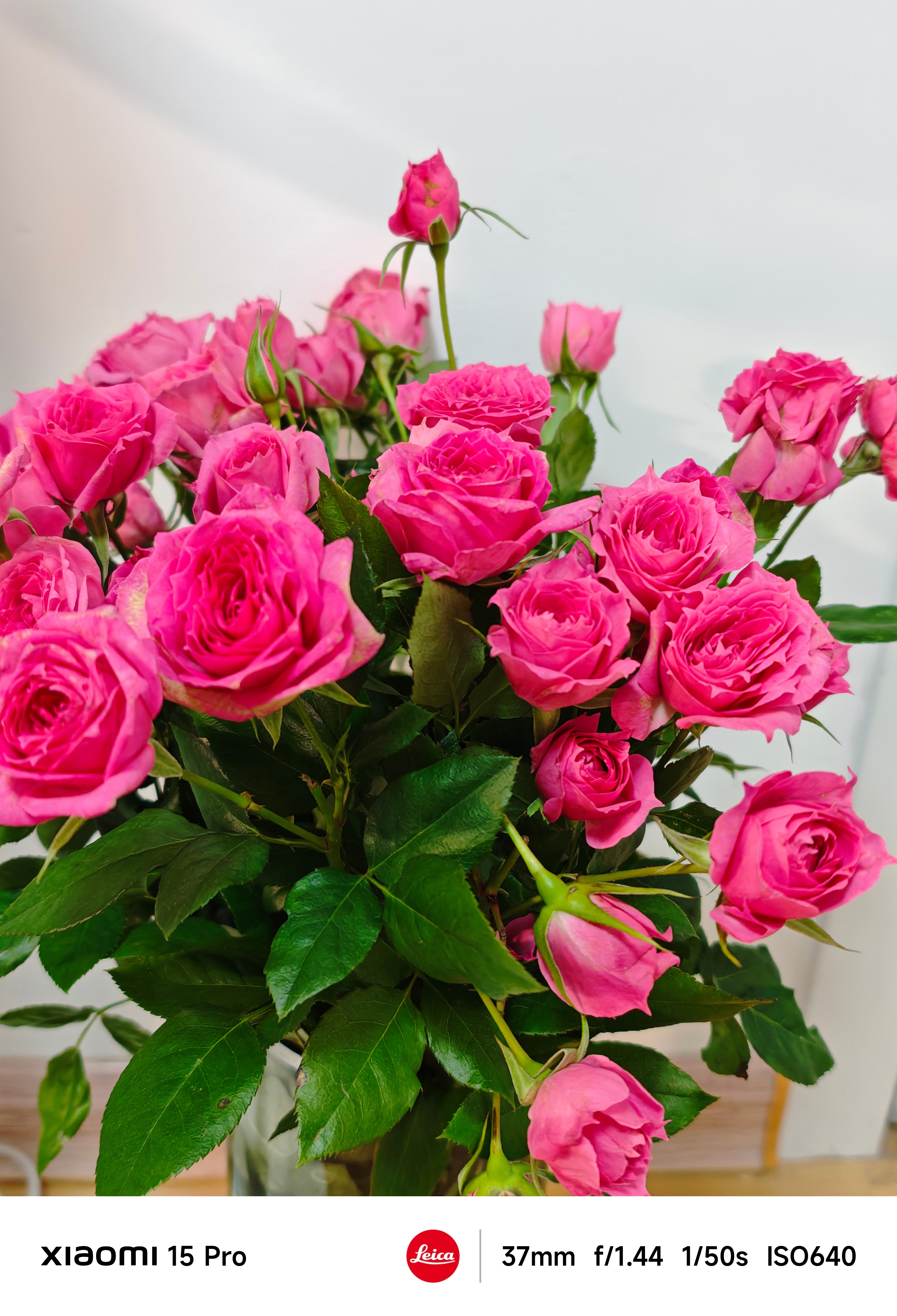 买了一束鲜花，希望对股东们好一点吧 