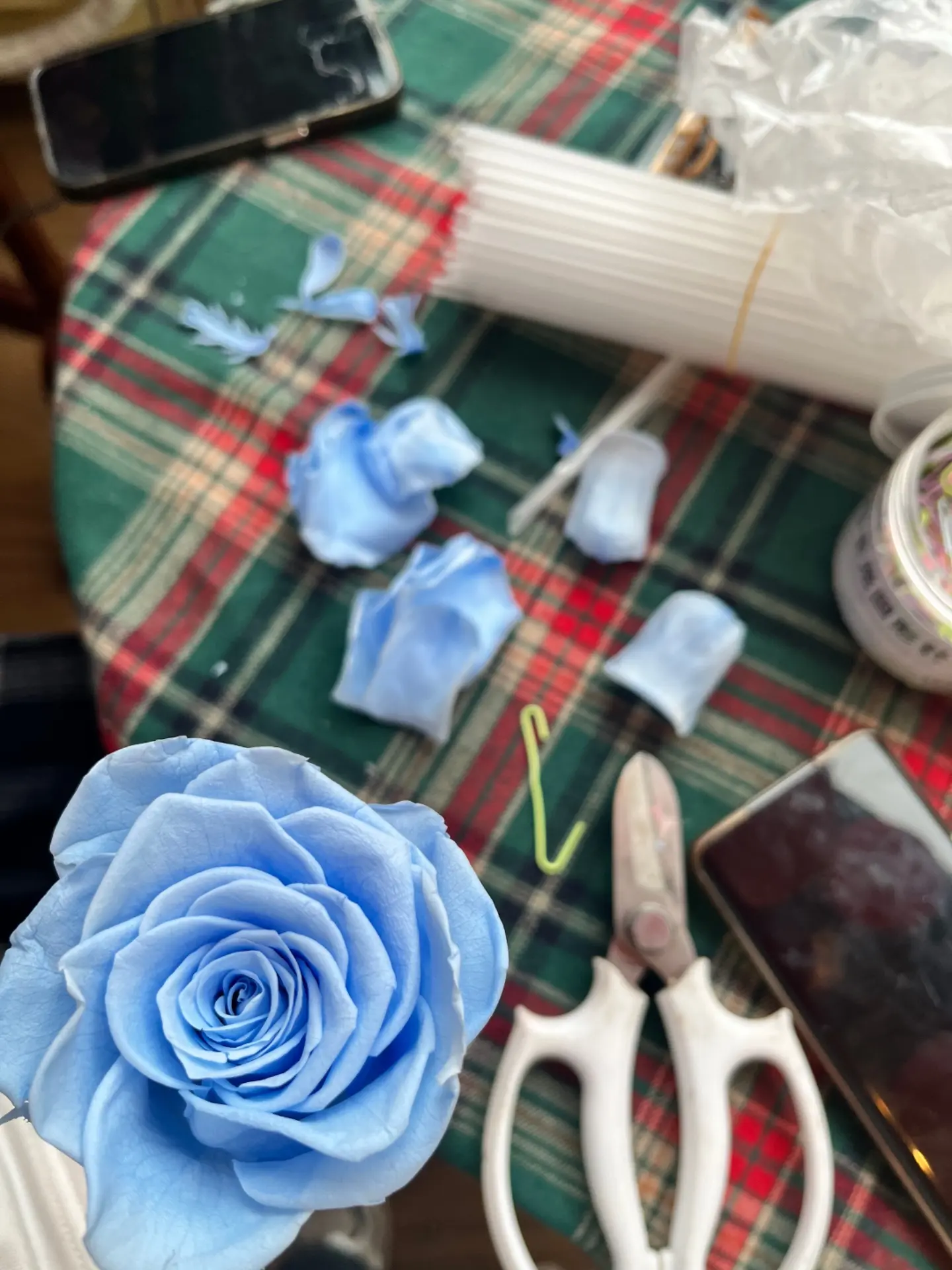 一片花瓣一片花瓣粘成一朵永生花  我对你的爱永远留存