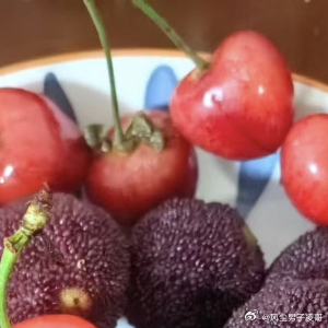 生活手记把善意融入日常，让温暖流淌四方。不刻意标榜，只默默行动，日复一日践行美好