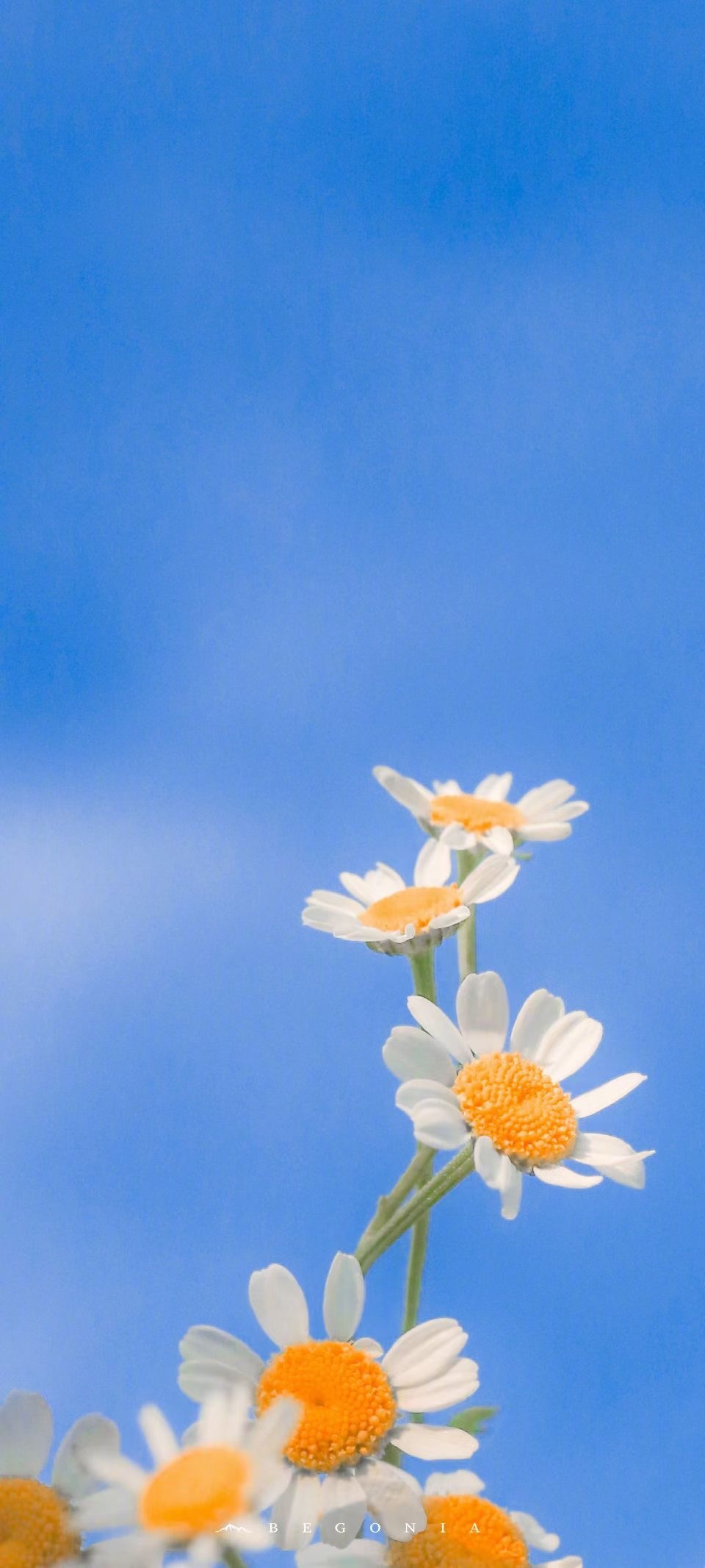 “ 青春赋予你光芒，请你别让它失望。” ​ ​​​