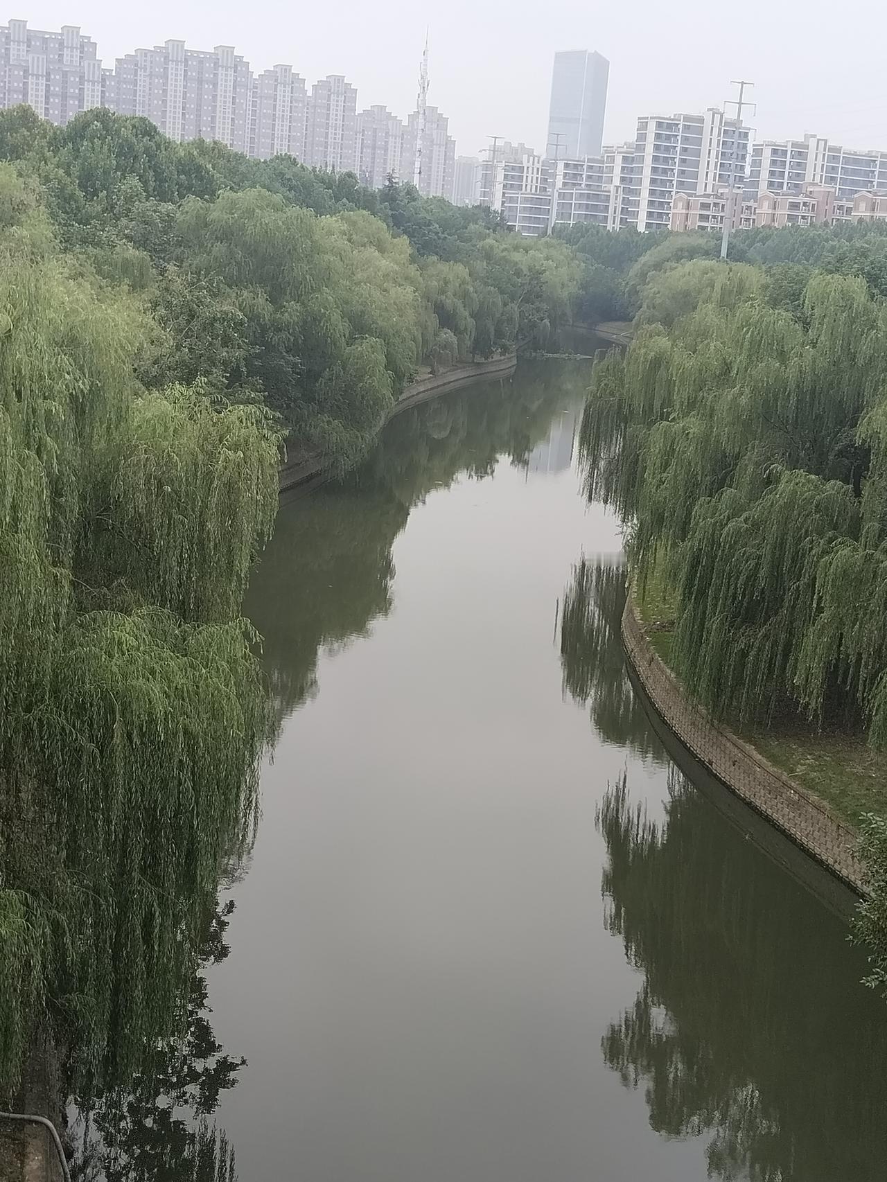 山高绿林深  游去假期客  过路家景真