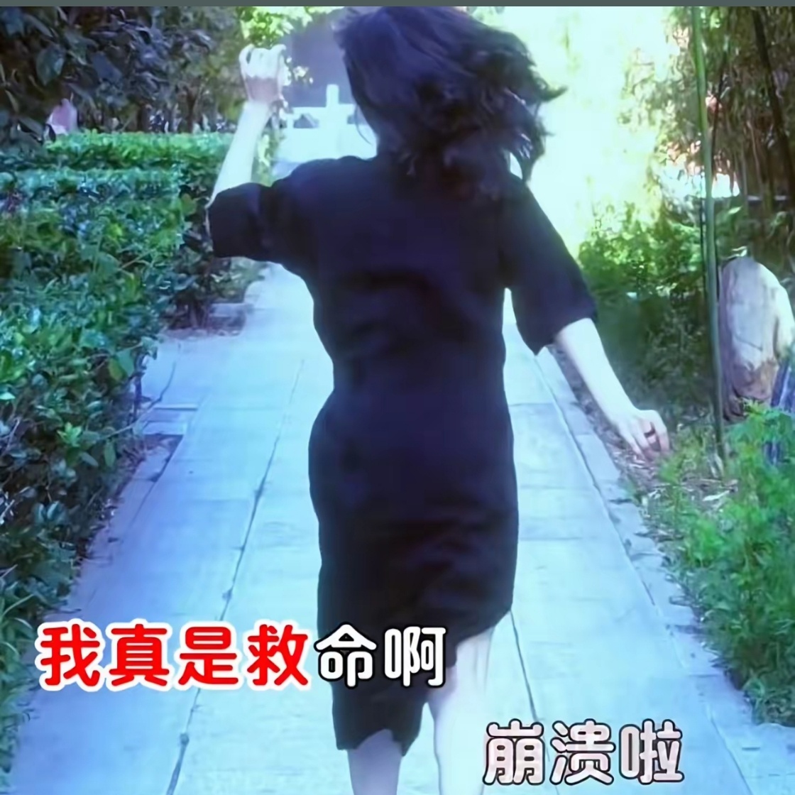 我每天这样心酸的卡点养熊猫养鱼直播，蹭rs还是一两千 