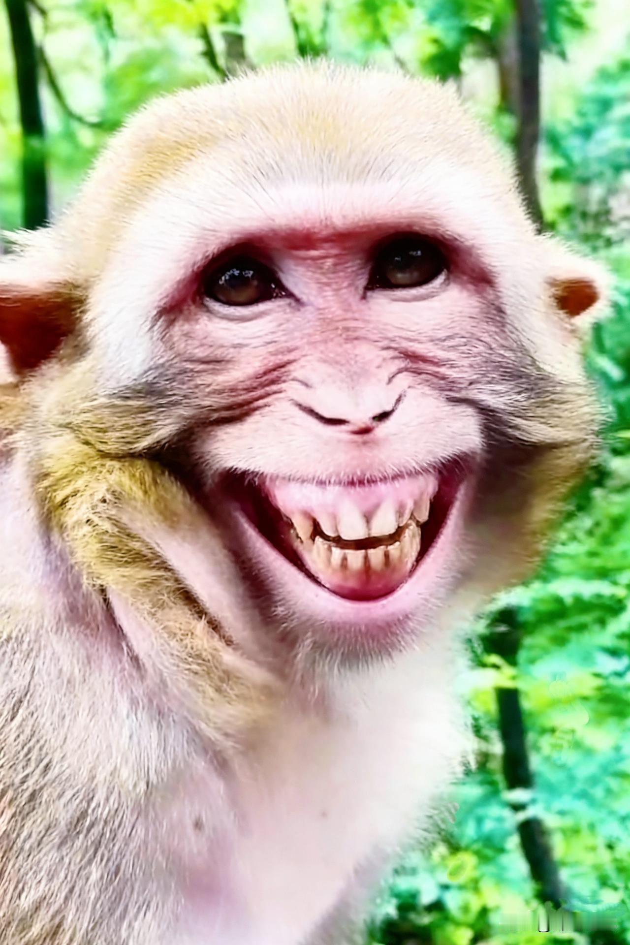 国内网贷监管收紧后，一些金融科技公司转头盯上了印度市场，想着靠人口红利赚快钱。结