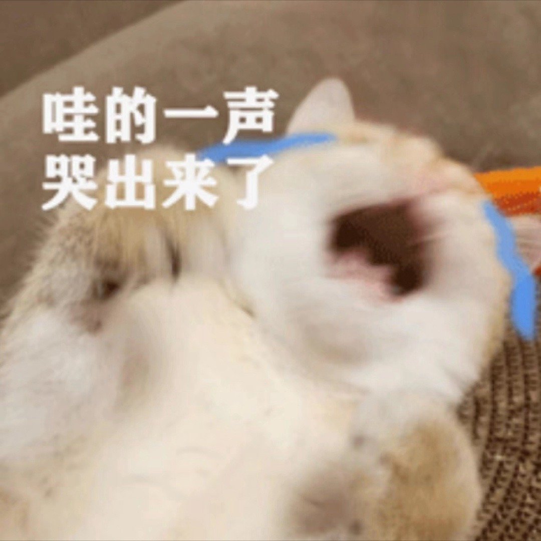 日常的路人a  谁家好人买姜汁味道的奶茶啊！不爱吃姜的本人，喝了一口被辣的嗷嗷叫