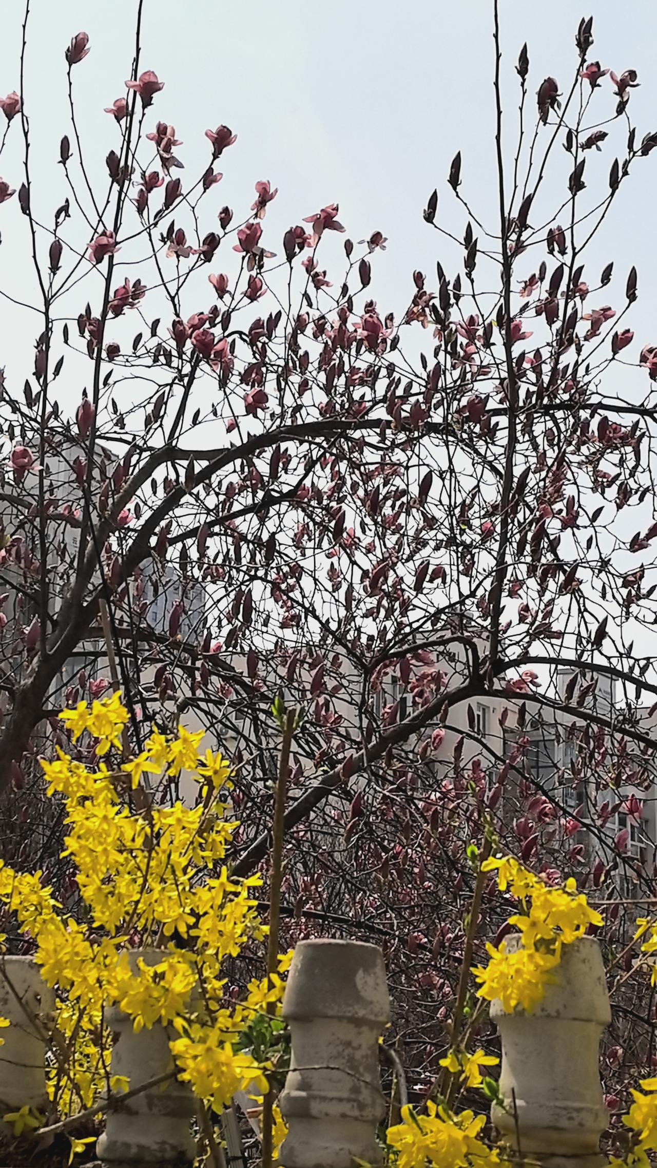 讲什么故事，事实证明政治的虚伪美国 
英国《卫报》30日报道，美国国务院向各驻外