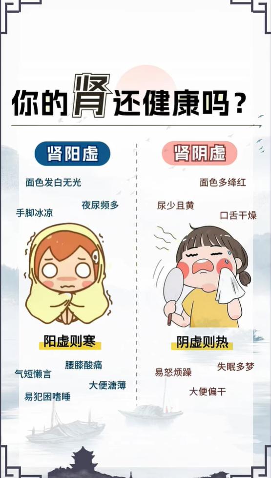 别忽视这些小信号，可能是肾脏在发出预警