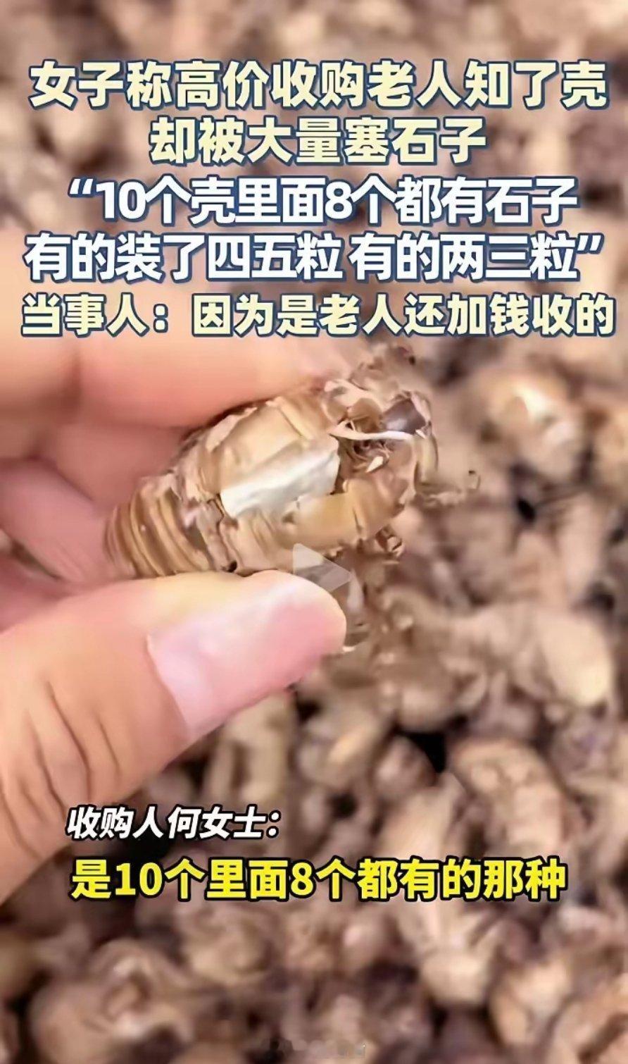 女子称当时收购价是325斤，然后看到他是一位老太太就多加了几元，一斤收购价330