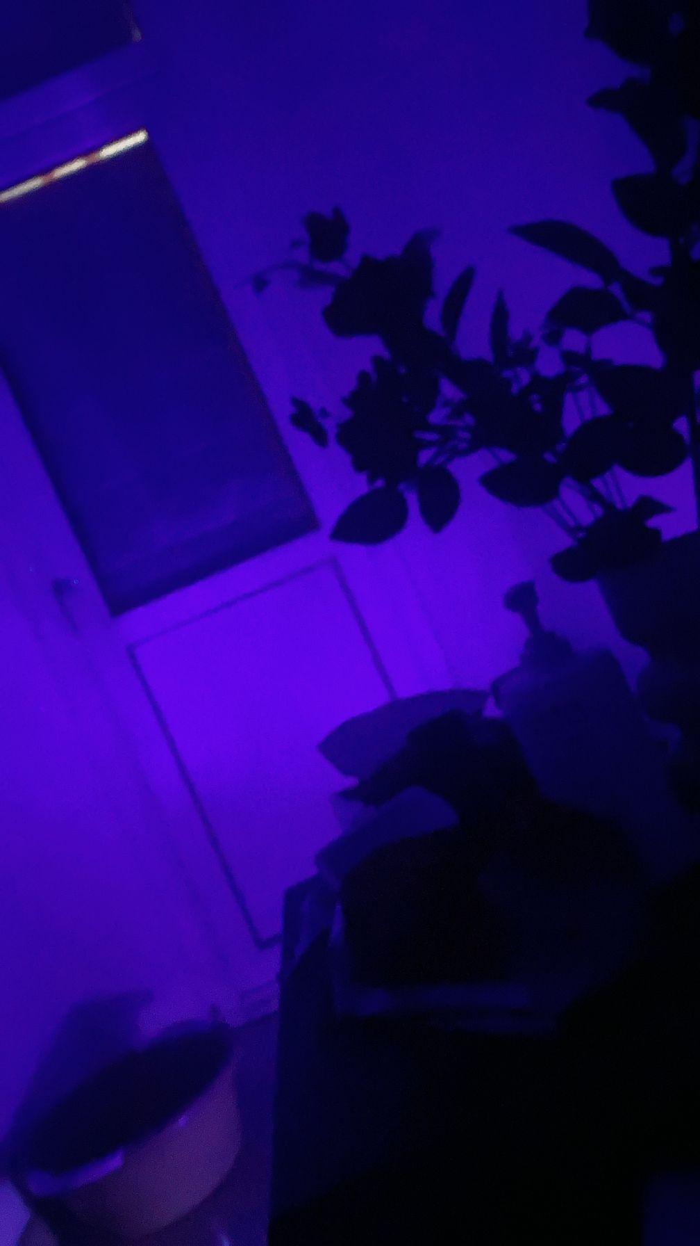 鸿蒙2025年度先锋体验