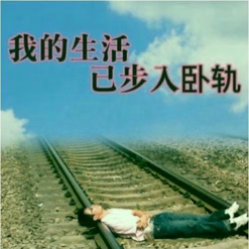 本周最喜欢的图 ​​​