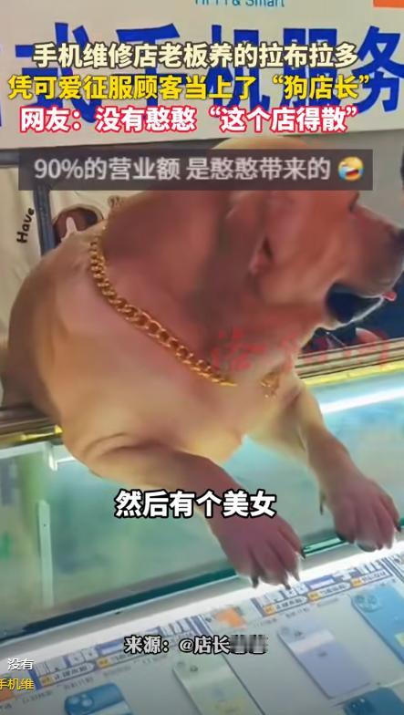 “这就是命啊！”9月2日，山西太原，一男子开了家手机维修店，一开始生意平平无奇，