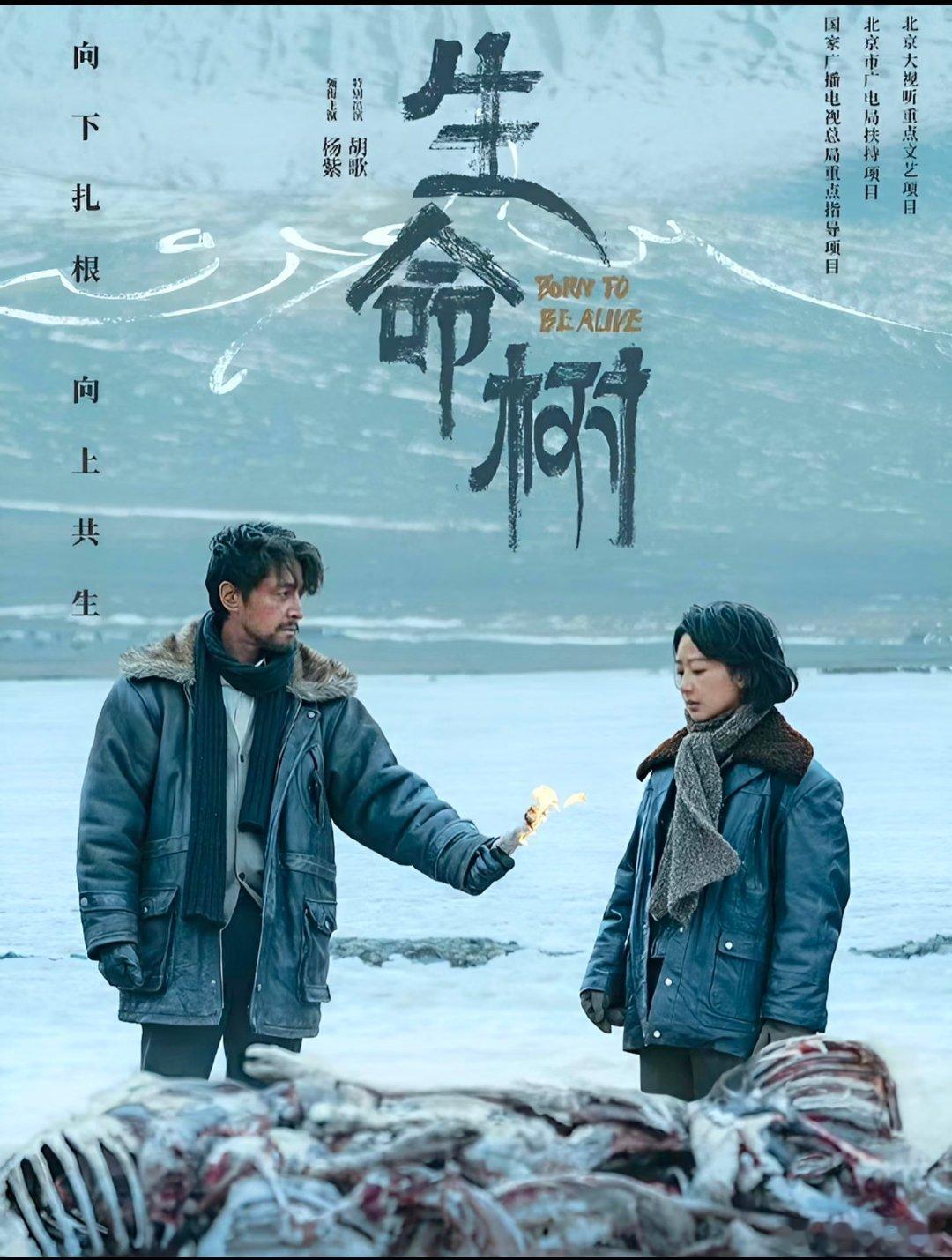 跟着央视追更杨紫生命树 排面拉满！杨紫《生命树》直接被央视农业农村频道《大地讲堂
