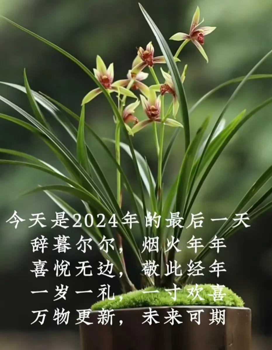 今天是2024年的最后一天，辞暮尔尔，烟火年年，喜悦无边，敬此经年。
一岁一礼，