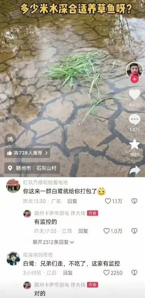 哈哈哈哈哈哈哈 