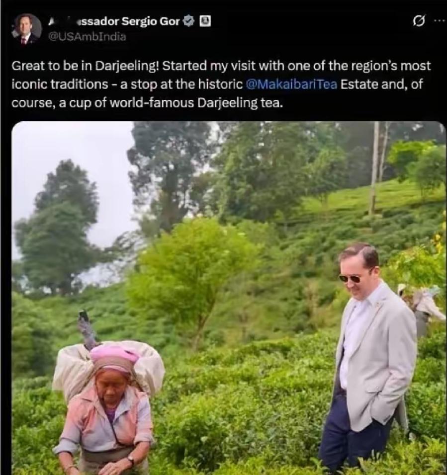 美国驻印度大使参观大吉岭茶园引爆印度网络

最近，美国大使塞尔吉奥.戈尔到访印度