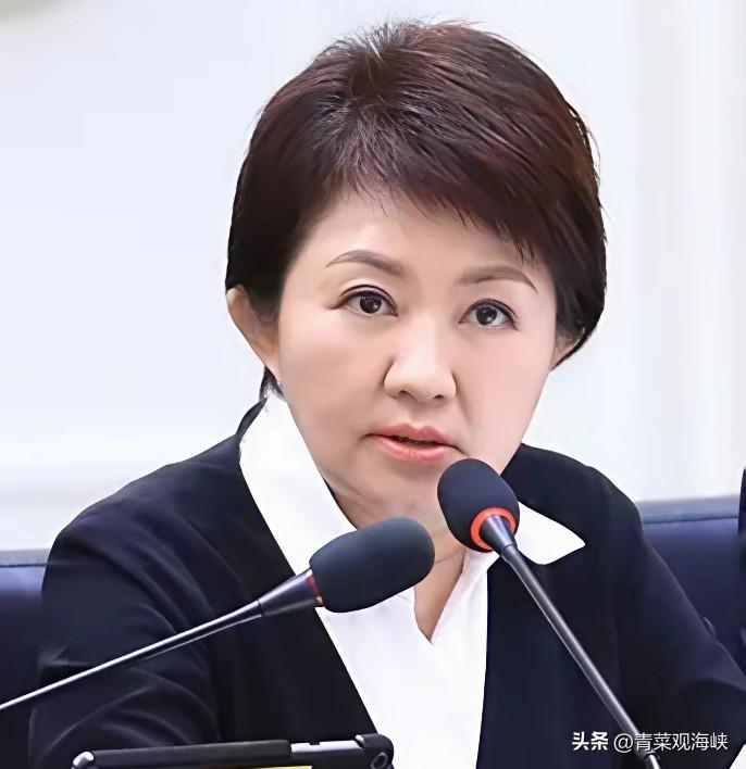 卢秀燕在美国喊“两岸善意”，这话你配说吗？

卢秀燕跑到美国，对着侨胞喊话：两岸