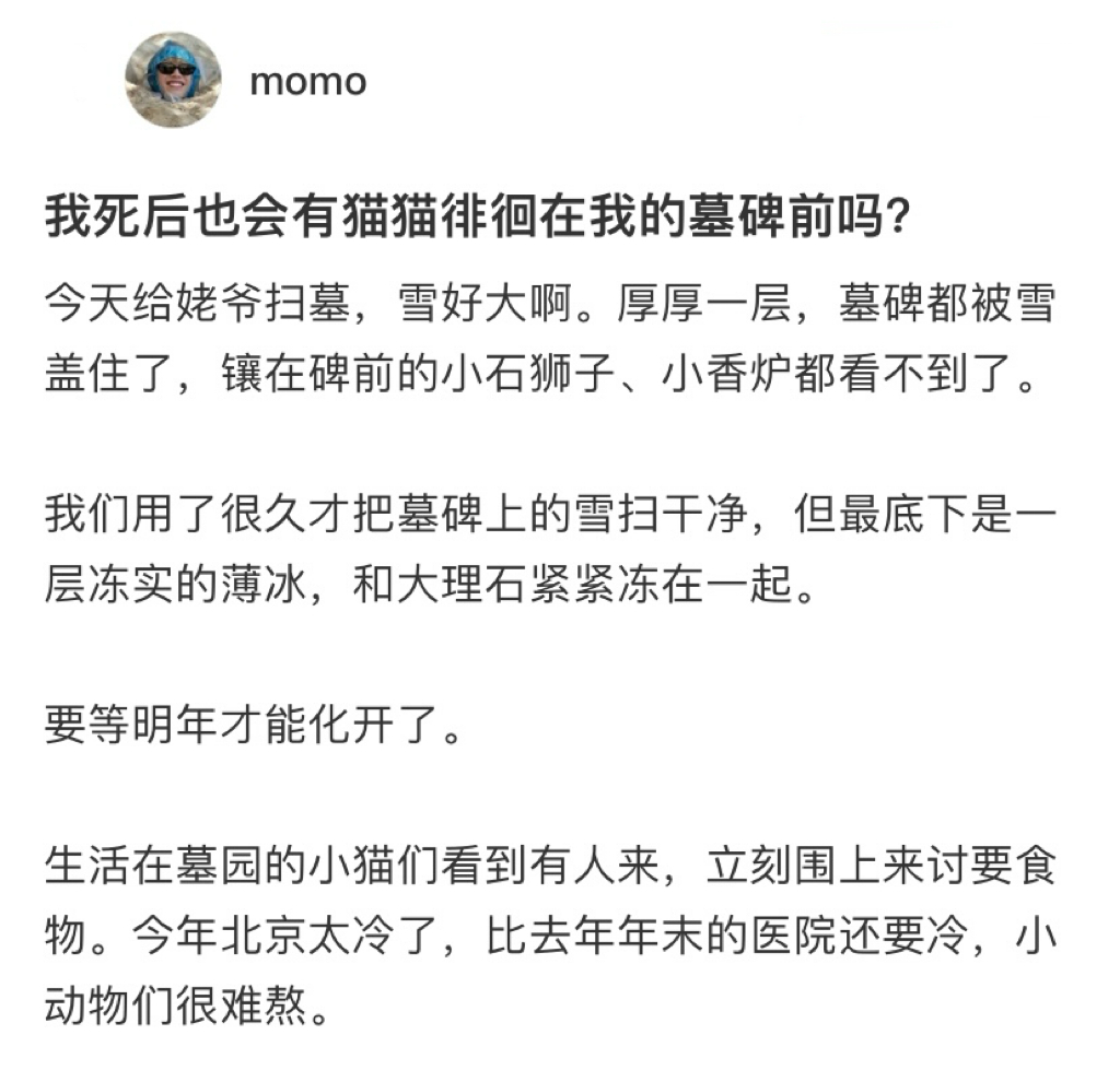 爱猫人士理想中的离去方式#v笑年度大赏# ​​​