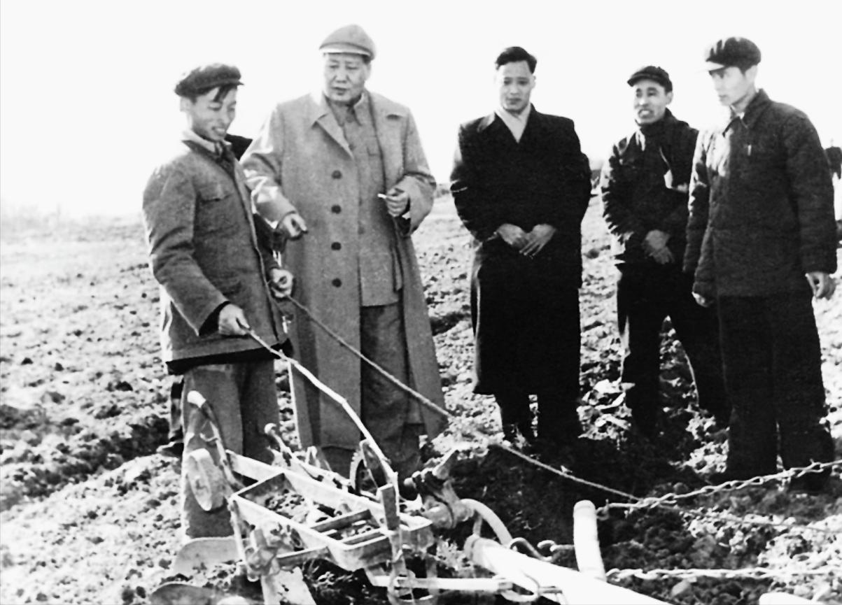 1958年1月5日，毛主席在浙江农科所观看双轮双铧犁的操作，他亲自犁田几十米。